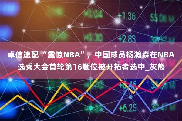 卓信速配 “震惊NBA”，中国球员杨瀚森在NBA选秀大会首轮第16顺位被开拓者选中_灰熊