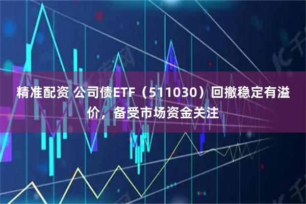 精准配资 公司债ETF（511030）回撤稳定有溢价，备受市场资金关注